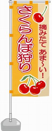 さくらんぼ狩り山梨 のぼり旗