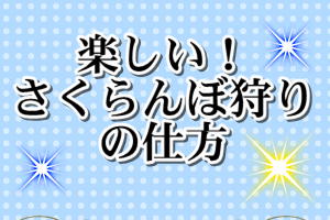 楽しいさくらんぼ狩りの仕方を紹介しています