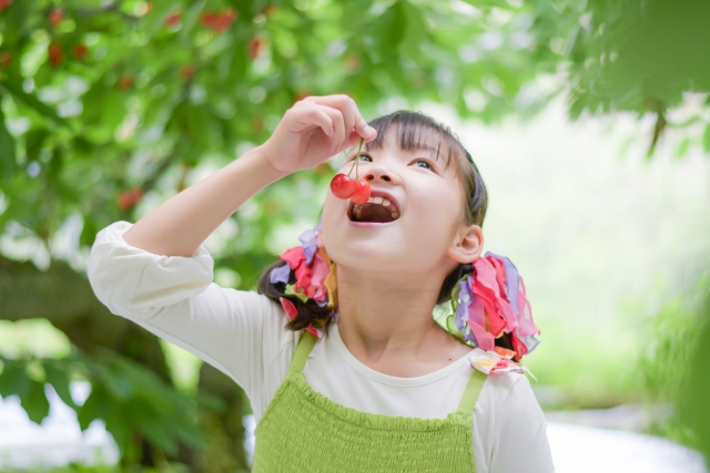 さくらんぼ狩り山梨「よくある質問」の中からベスト７をご紹介